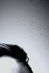 Zdjęcie użytkownika Daroziolkowski