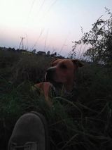 Benutzerfoto Waffenwasik