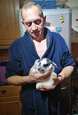 Photos tomaszfiedorowicz