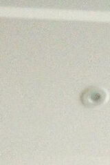 Фотография пользователя TomaszSrednicki