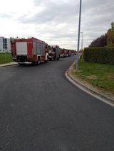 Foto utilizatorului RoganB