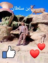 Фотография пользователя laid