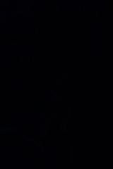 Benutzerfoto DzezmenBski