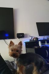 Benutzerfoto MateuszSieradzki1