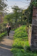 Photos IwonaZiebrowicz