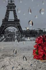 Zdjęcie użytkownika Melyani