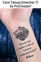 Zdjęcie użytkownika Lucjanl