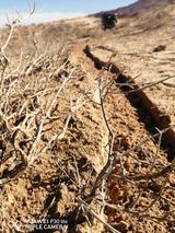 Zdjęcie użytkownika SoufianeHadibi