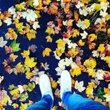 Foto pengguna Badredine