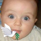 Foto utilizatorului KamalS