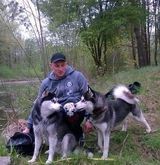 Benutzerfoto arttom22