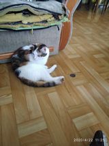 Zdjęcie użytkownika Natknatalka