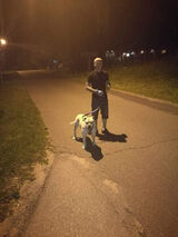 Zdjęcie użytkownika MrugamZebem