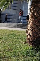 Foto utilizatorului RoneO