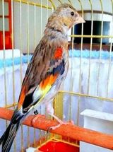 Zdjęcie użytkownika Hamzaouadi