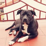 Benutzerfoto Andrzejek2121