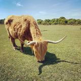 Foto pengguna Fredjason