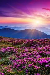 Zdjęcie użytkownika BadiO