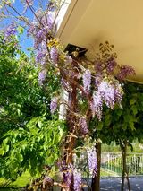 Zdjęcie użytkownika CarlosDulous