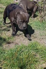 Photos WojciechBawol