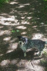 Фотография пользователя Karol94karolek