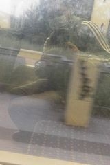 Фотография пользователя JockerK