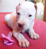 Фотография пользователя BenattouD