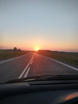 Foto utilizatorului gratki