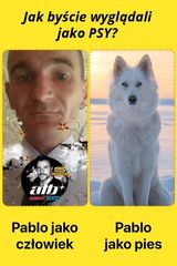 Zdjęcie użytkownika PabloDz