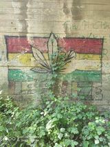 Fotos Msz00