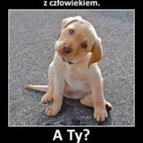 Zdjęcie użytkownika Igorkowal1