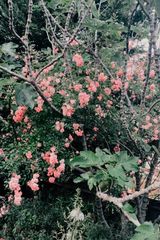 Фотография пользователя CarsonEden