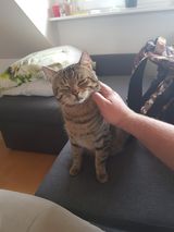 Foto utilizatorului TomsoOonek1987