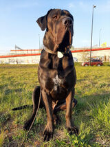 Zdjęcie użytkownika ziomal02