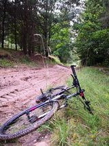 Zdjęcie użytkownika MateuszSiwiec1