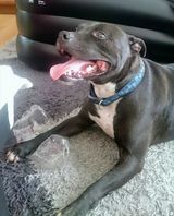 Фотография пользователя Conrad74