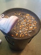 Фотография пользователя Misiek9229