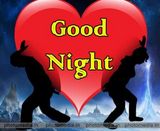 Photos Andrewwilliams2