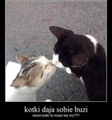 Foto pengguna Manitron