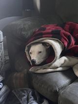 Zdjęcie użytkownika ZacharyWhite