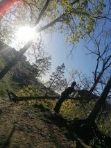Fotka uživatele ELBondziorno