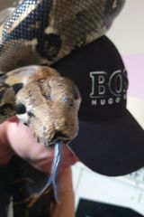 Фотография пользователя MiroslawLubik