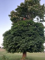 Фотография пользователя KarolRudzki