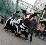 Benutzerfoto Lukasz9o