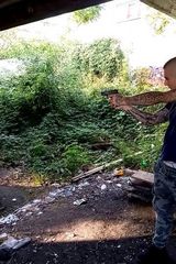Benutzerfoto DawidMateusz1