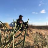 Benutzerfoto BrahimBelila