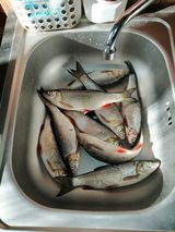 Фотография пользователя NieznajomyMajek