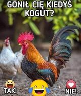 Benutzerfoto Pawel234t