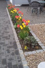 Фотография пользователя JaniZ