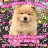 Fotka uživatele Emaanda